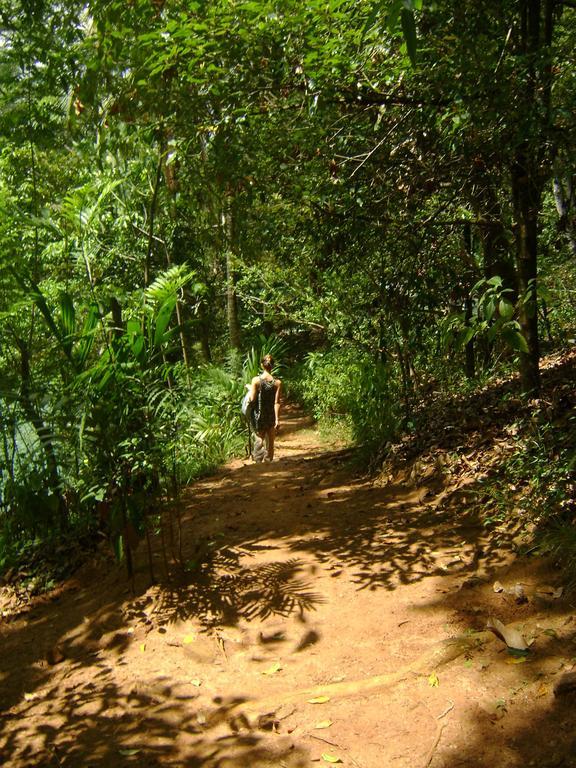 Polwaththa Eco Lodges Digana Dış mekan fotoğraf