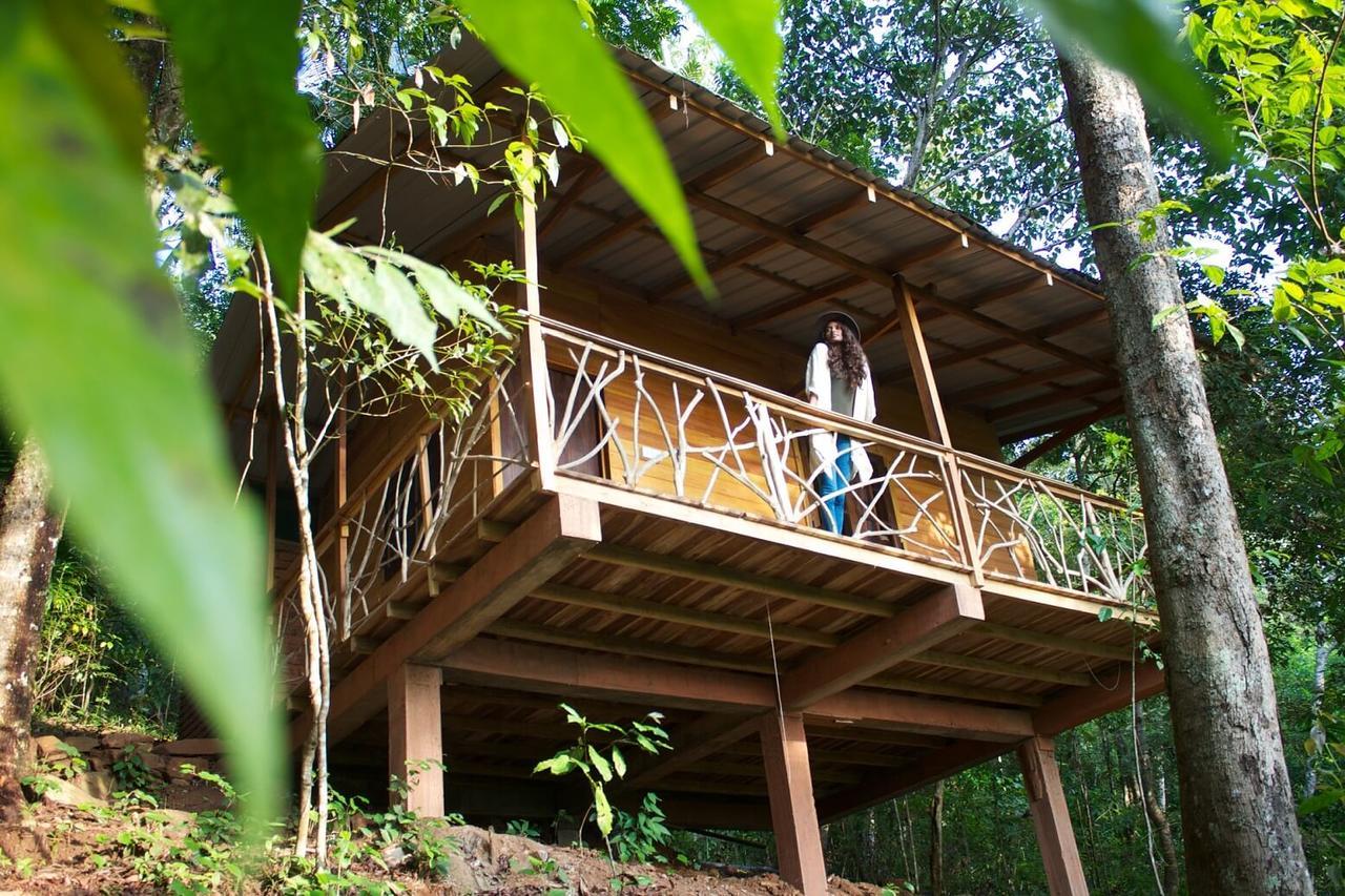 Polwaththa Eco Lodges Digana Dış mekan fotoğraf
