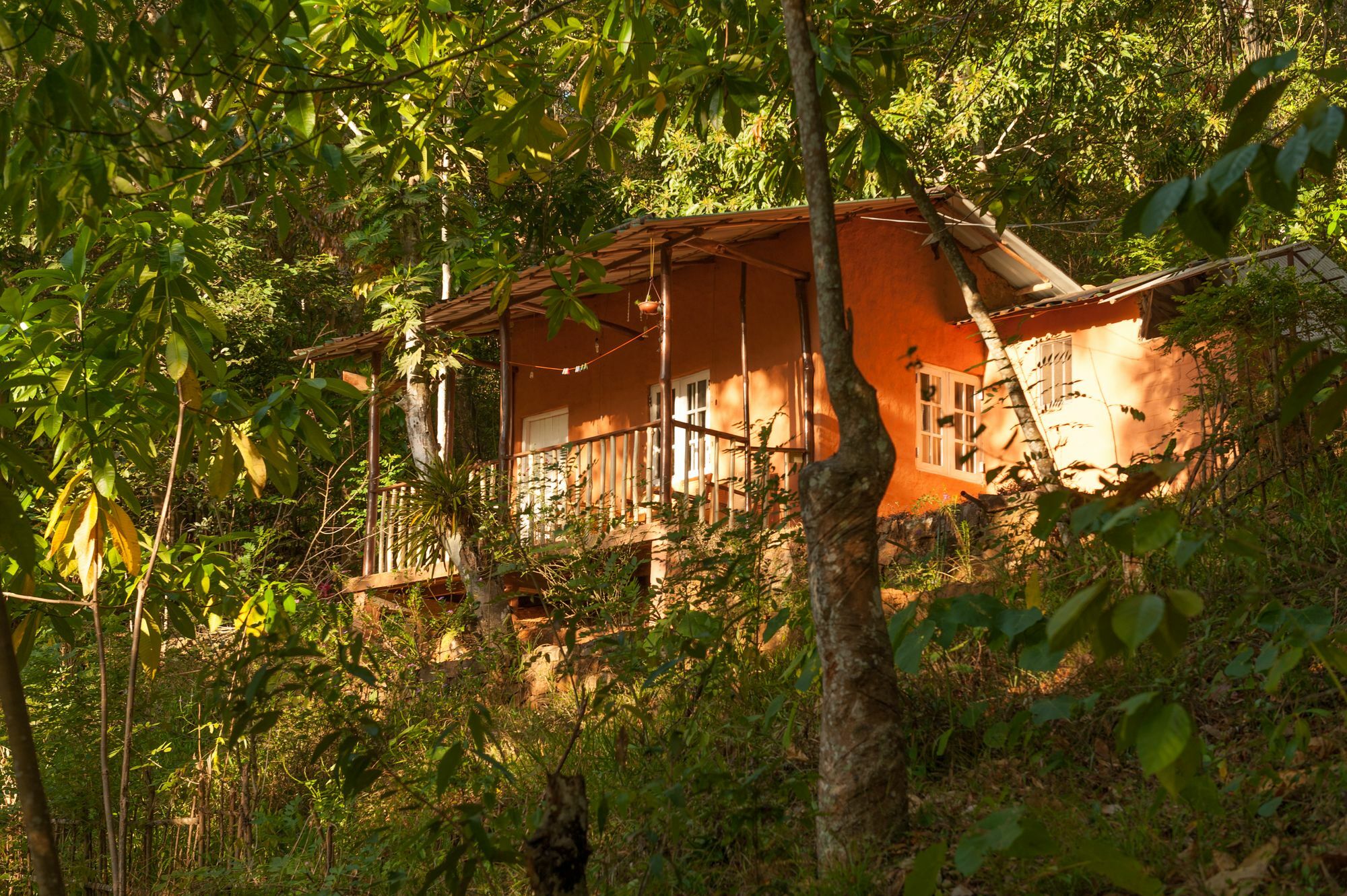 Polwaththa Eco Lodges Digana Dış mekan fotoğraf
